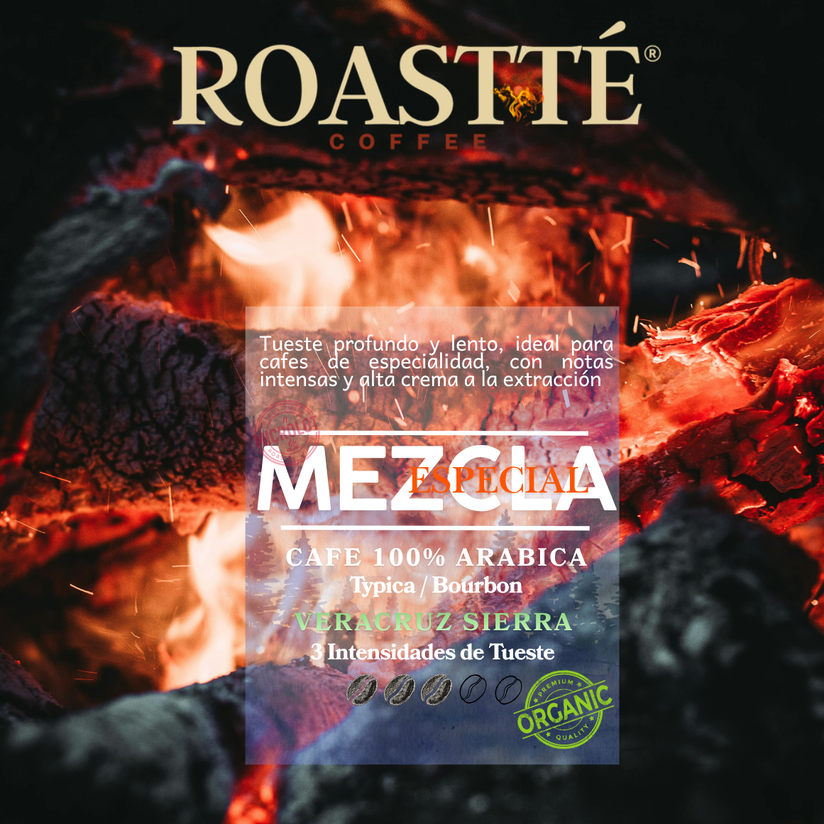 MEZCLA ESPECIAL™